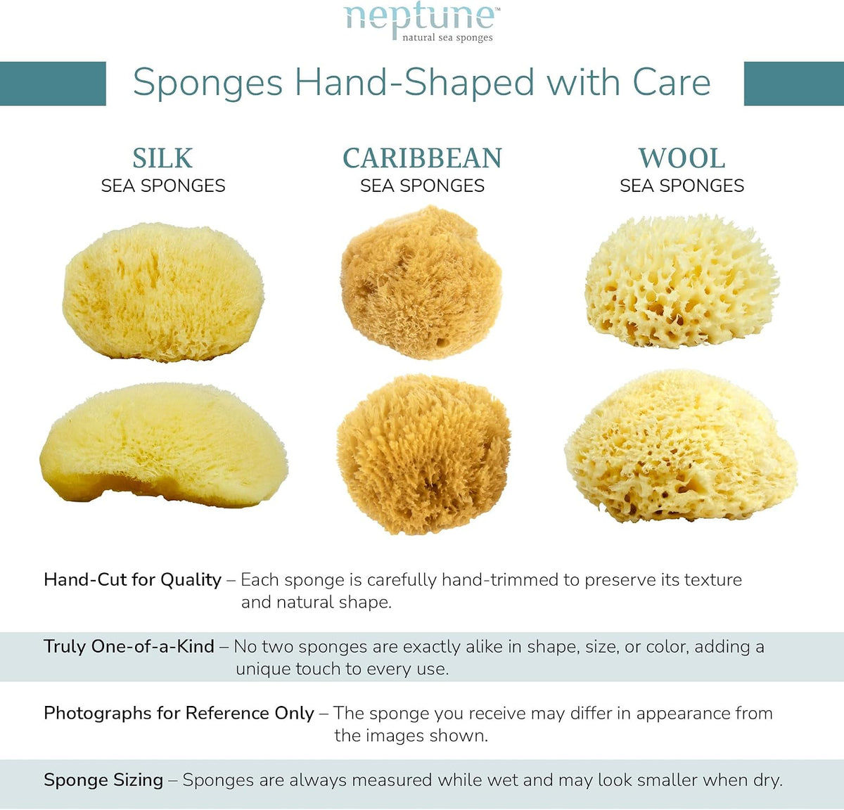 Neptune Caribbean Sea Sponge, Large, Approx. 6-7 in, Exfoliating
