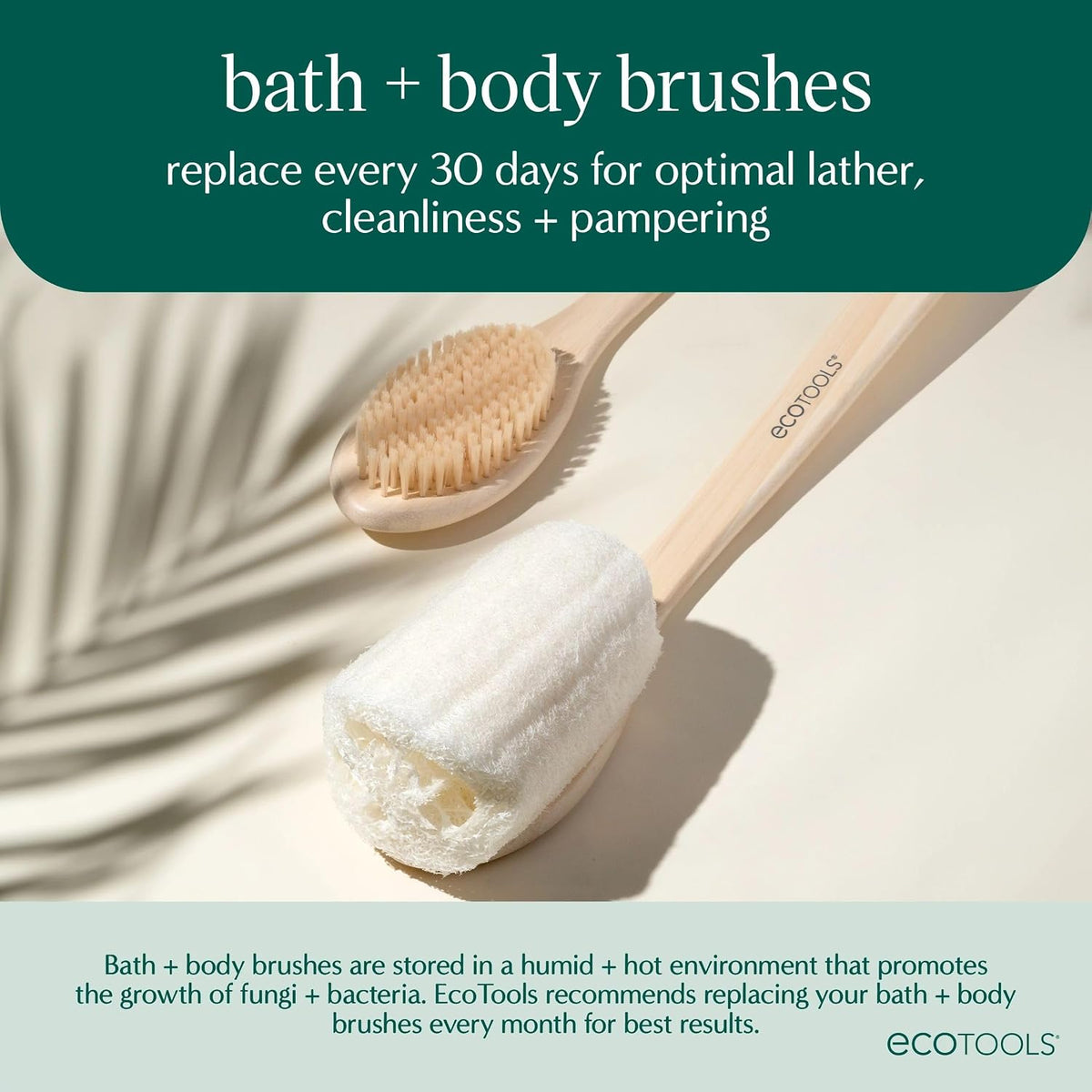 EcoTools EcoPouf Bath Brush, Loofah for Men and Women, 1 Count