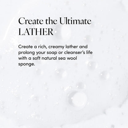 LATHER - Natural Sea Wool Sponge, 5-6" - Organic Exfoliating Body Scrubber - Soft, Gentle Cleansing - Hypoallergenic - All Skin Types - Florida Natural Loofah Sponge - Cruelty Free - Beauty & Skincare