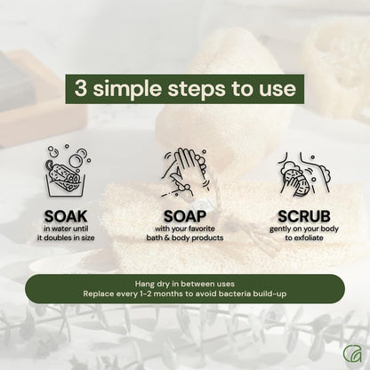 Chill Ah Natural Loofah Sponge Set – 100% Plant-Based, Dye-Free, Biodegradable Bath Exfoliator for Glowing Skin – Handcrafted in Vietnam (4-Pack)