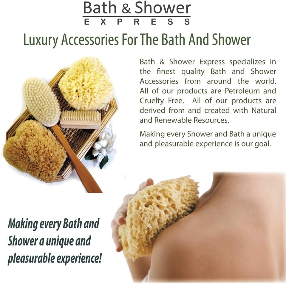 Sea Wool Sponge 5-6" (Large) by Bath & Shower Express ® Natural Renewable Resource, Esponja for Exfoliating and Washing Body