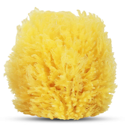 HartFelt Bath Sponges for Shower | Oval Body Wash Scrubber for Exfoliating Skin | Clean and Refresh Body, Back & Arms | Chemical-Free Body Sponge | Made in USA - Pack of 6