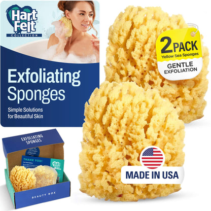 HartFelt Bath Sponges for Shower | Oval Body Wash Scrubber for Exfoliating Skin | Clean and Refresh Body, Back & Arms | Chemical-Free Body Sponge | Made in USA - Pack of 6