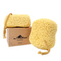 myHomeBody Bath Sponge, Foam Loofah, Shower Sponge for Body, Curvy, 3 Pack