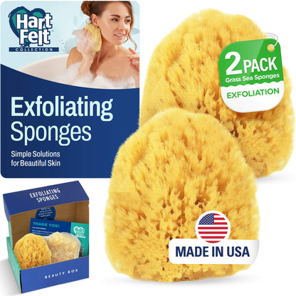 HartFelt Bath Sponges for Shower | Oval Body Wash Scrubber for Exfoliating Skin | Clean and Refresh Body, Back & Arms | Chemical-Free Body Sponge | Made in USA - Pack of 6