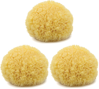 Neptune Caribbean Sea Sponge, Medium, Approx. 5-6 in, Exfoliating