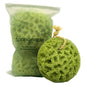 Spongentle Loofah Sponge for Shower and Bathing, Bath Sponge with Dual Texture, Shower Pouf for Gentle and Deep Exfoliation, Large Size Body Scrubber for Men & Women, PU Foam, 37% More Lather, 2 Pack