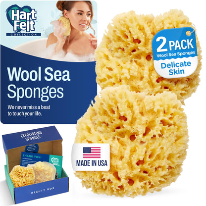 HartFelt Bath Sponges for Shower | Oval Body Wash Scrubber for Exfoliating Skin | Clean and Refresh Body, Back & Arms | Chemical-Free Body Sponge | Made in USA - Pack of 6