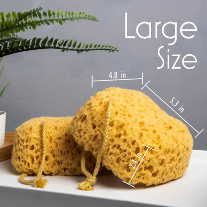 myHomeBody Bath Sponge, Foam Loofah, Shower Sponge for Body, Curvy, 3 Pack