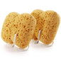 Bath Sponge for Women Men Body Wash & Exfoliating 2-Pack