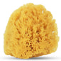 HartFelt Bath Sponges for Shower | Oval Body Wash Scrubber for Exfoliating Skin | Clean and Refresh Body, Back & Arms | Chemical-Free Body Sponge | Made in USA - Pack of 6