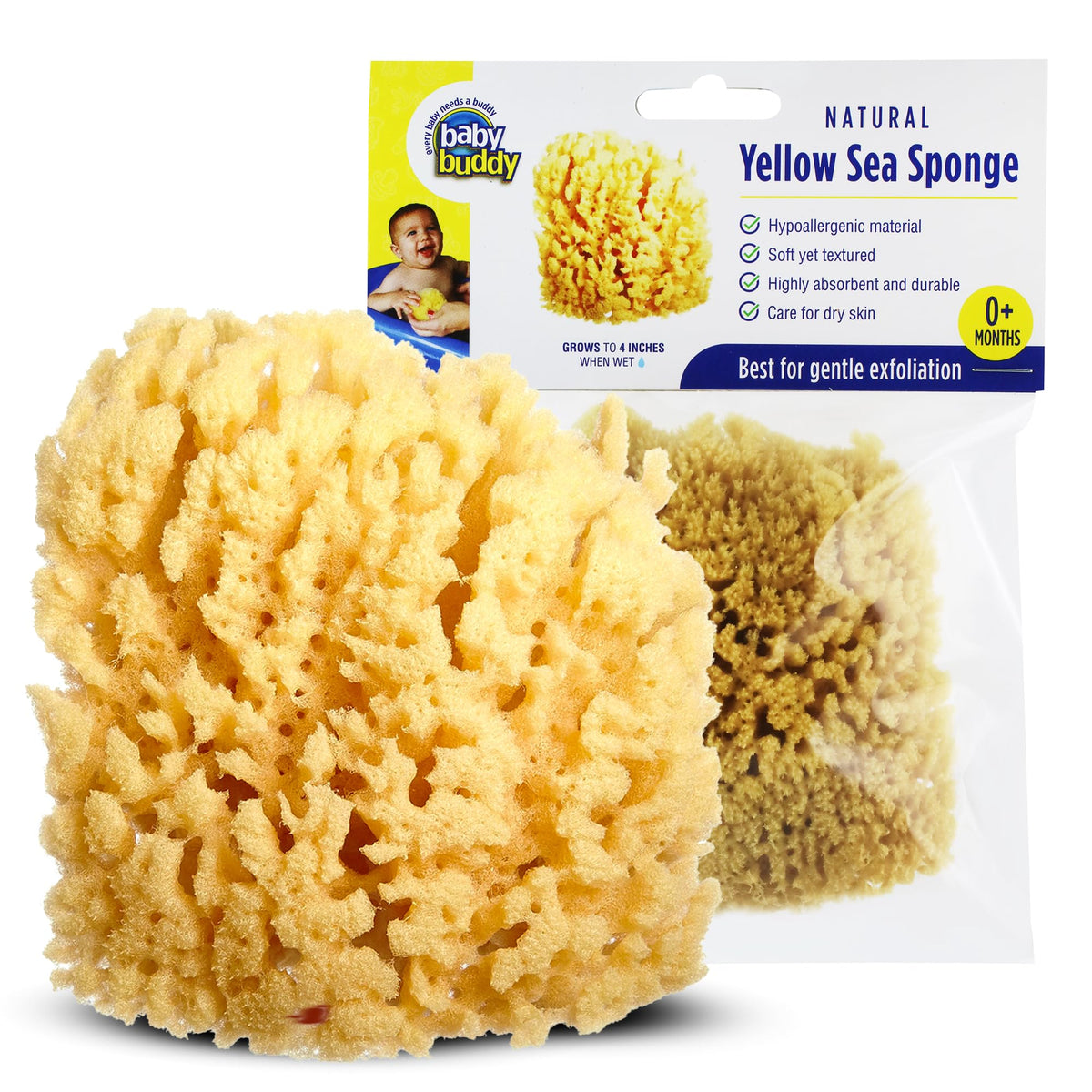 Baby Buddy (1 Count, 4 Inch) Natural Yellow Sea Bath Sponge, Natural Baby Bath Sponge for Newborns and Kids, Soft When Wet, Absorbent, Biodegradable, Hypoallergenic