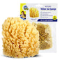 Baby Buddy (1 Count, 4 Inch) Natural Yellow Sea Bath Sponge, Natural Baby Bath Sponge for Newborns and Kids, Soft When Wet, Absorbent, Biodegradable, Hypoallergenic